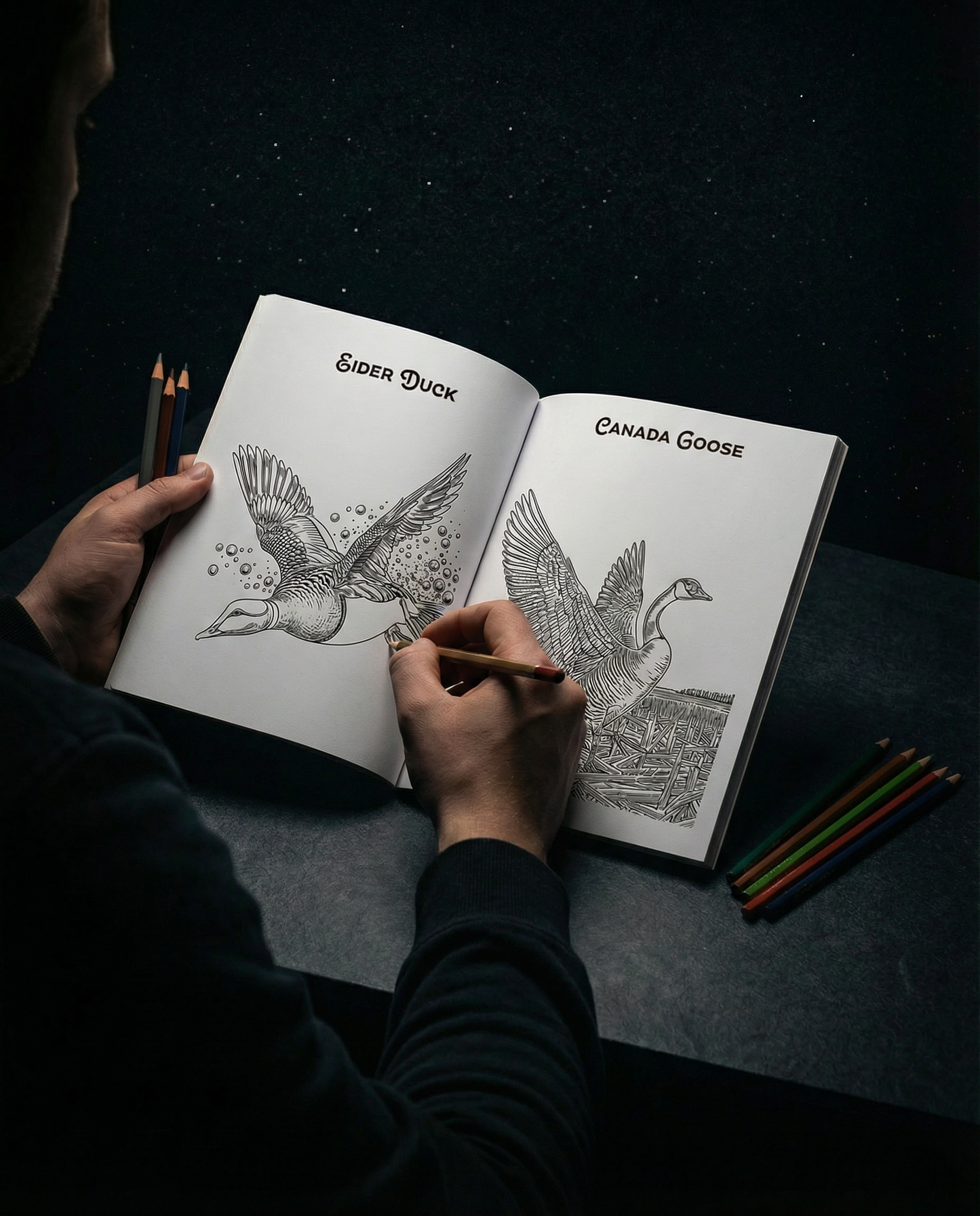 Stay True Outdoors Waterfowl Colouring Book